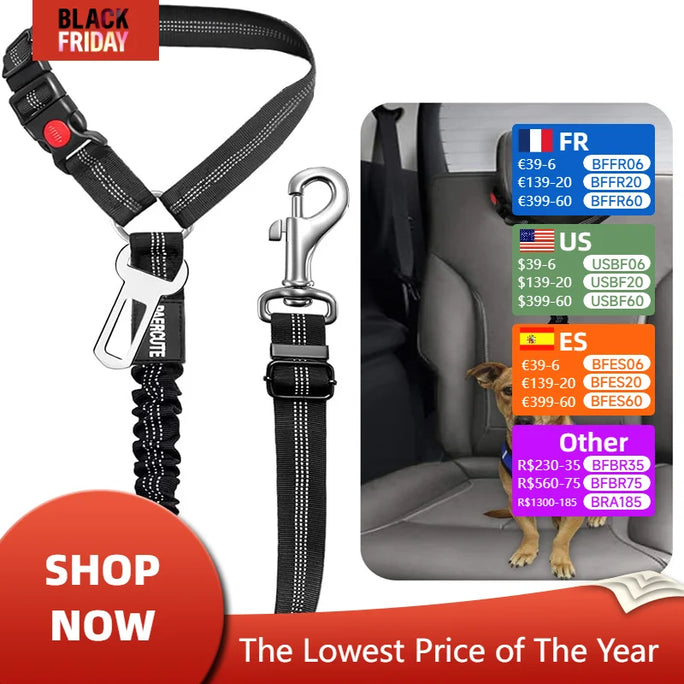 Two-in-One Dog Harness & Leash